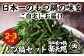 元祖もつ鍋楽天地【冷凍】元祖 もつ鍋 2～3人用セット ちゃんぽん麺 もつ 国産