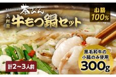 もつ鍋セット 2〜3人前 醤油味 ホルモン小腸 もつ 小腸 300g 九州産 国産 ホルモン スープ ちゃんぽん ごま 鷹の爪 ごま油 セット 黒毛和牛 冷凍 取り寄せ 送料無料 牛もつ鍋処 茶びん