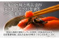 創業51年 博多 明太子屋さんのこだわり 無着色 昆布漬 辛子明太子 300g 1本物 真子 明太子 送料無料
