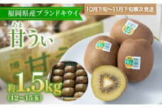 福岡県産ブランドキウイ「甘うぃ」 約1.5kg(12-15玉)