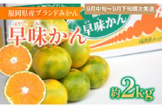 福岡県産ブランドみかん 「早味かん」 約2kg