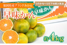 福岡県産ブランドみかん 「早味かん」 約4kg