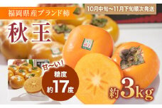 福岡県産ブランド柿「秋王」 秋王・柿　約3kg(8-12玉)
