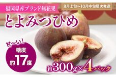 福岡県産ブランド無花果「とよみつひめ」(約300g×4パック)