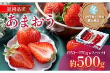 あまおう 福岡産【冬】あまおう 2パック 合計約500g～540g （1パックあたり約250g～約270g） いちご 苺 果物 フルーツ 九州産 福岡県産 冷蔵 送料無料【11月下旬発送開始予定】