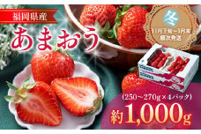福岡産【冬】あまおう 4パック 合計約1000g～1080g 約1kg （1パックあたり約250g～約270g） いちご 苺 果物 フルーツ 九州産 福岡県産 冷蔵 送料無料【11月下旬発送開始予定】