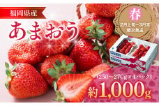 福岡産【春】あまおう 4パック 合計約1000g～1080g 約1kg （1パックあたり約250g～約270g） いちご 苺 果物 フルーツ 九州産 福岡県産 冷蔵 送料無料 【2月上旬発送開始予定】
