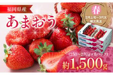 福岡産【春】あまおう 6パック 合計約1500g～1620g 約1.5kg （1パックあたり約250g～約270g） いちご 苺 果物 フルーツ 九州産 福岡県産 冷蔵 送料無料 【2月上旬発送開始予定】
