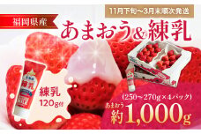 福岡産 あまおう  4パック 合計約1000g コンデンスミルク 練乳 いちご 苺 果物 フルーツ 九州産 福岡県産 冷蔵 送料無料【11月下旬発送開始予定】