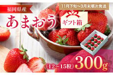 福岡産 あまおう 約300g  (12～15粒) 1箱 いちご 苺 果物 フルーツ 九州産 福岡県産 冷蔵 ギフト箱 箱入り ギフト 贈り物 送料無料【11月下旬発送開始予定】