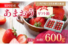 福岡産 あまおう 約600g  (24～30粒) 1箱 いちご 苺 果物 フルーツ 九州産 福岡県産 冷蔵 ギフト箱 箱入り ギフト 贈り物 送料無料【11月下旬発送開始予定】