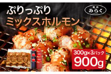 焼肉みらく ミックス ホルモン 約900g 冷凍 牛ホルモン 焼き肉 お肉 ほるもん 味付き肉 味付け肉 味付き 九州産 送料無料