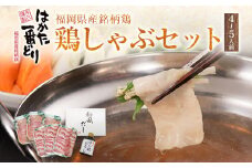 はかた一番どり鶏しゃぶセット 4～5人前 モモ肉スライス ムネ肉スライス 和風だし おろしポン酢 しゃぶしゃぶ 鶏 はかた一番 だし付き セット 冷凍 福岡 送料無料