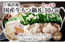 国産牛もつ鍋(白味噌味) 工場直販 たっぷり8～10人前  お取り寄せグルメ お取り寄せ 福岡 お土産 九州  福岡土産 取り寄せ グルメ  福岡県