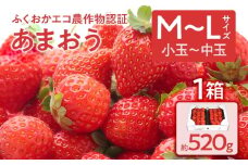 ふくおかエコ農作物認証あまおう M〜Lサイズ 1箱セット あまおう イチゴ 苺 いちご フルーツ 果物 くだもの 福岡県産 お取り寄せグルメ お取り寄せ 福岡 お土産 九州 福岡土産 取り寄せ グルメ 福岡県