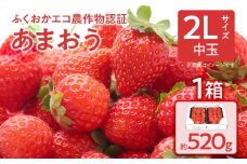 ふくおかエコ農作物認証あまおう 2Lサイズ 1箱セット あまおう イチゴ 苺 いちご フルーツ 果物 くだもの 福岡県産 お取り寄せグルメ お取り寄せ 福岡 お土産 九州 福岡土産 取り寄せ グルメ 福岡県