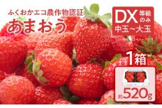 ふくおかエコ農作物認証あまおう DX等級のみ 1箱セット あまおう イチゴ 苺 いちご フルーツ 果物 くだもの 福岡県産 お取り寄せグルメ お取り寄せ 福岡 お土産 九州 福岡土産 取り寄せ グルメ 福岡県