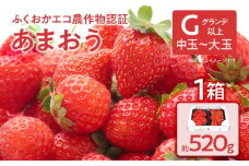 ふくおかエコ農作物認証あまおう G以上【選べる】 あまおう イチゴ 苺 いちご フルーツ 果物 くだもの 福岡県産 お取り寄せグルメ お取り寄せ 福岡 お土産 九州 福岡土産 取り寄せ グルメ 福岡県