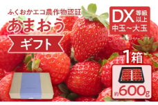 ふくおかエコ農作物認証あまおう ギフト DX等級以上 1箱セット あまおう イチゴ 苺 いちご フルーツ 果物 くだもの 福岡県産 お取り寄せグルメ お取り寄せ 福岡 お土産 九州 福岡土産 取り寄せ グルメ 福岡県