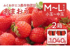 ふくおかエコ農作物認証あまおう M〜Lサイズ 2箱セット あまおう イチゴ 苺 いちご フルーツ 果物 くだもの 福岡県産 お取り寄せグルメ お取り寄せ 福岡 お土産 九州 福岡土産 取り寄せ グルメ 福岡県