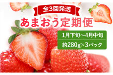 【2026年先行いちご定期便】あまおう3パックｘ3回(1月下旬～、2月～、3月～発送) お取り寄せグルメ お取り寄せ 福岡 お土産 九州 福岡土産 取り寄せ グルメ 福岡県