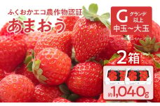 ふくおかエコ農作物認証あまおう G以上 2箱セット あまおう イチゴ 苺 いちご フルーツ 果物 くだもの 福岡県産 お取り寄せグルメ お取り寄せ 福岡 お土産 九州 福岡土産 取り寄せ グルメ 福岡県
