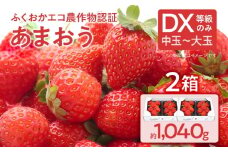 ふくおかエコ農作物認証あまおう DX等級のみ 2箱セット あまおう イチゴ 苺 いちご フルーツ 果物 くだもの 福岡県産 お取り寄せグルメ お取り寄せ 福岡 お土産 九州 福岡土産 取り寄せ グルメ 福岡県