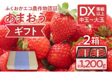 ふくおかエコ農作物認証あまおう ギフト DX等級以上 2箱セット あまおう イチゴ 苺 いちご フルーツ 果物 くだもの 福岡県産 お取り寄せグルメ お取り寄せ 福岡 お土産 九州 福岡土産 取り寄せ グルメ 福岡県