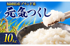 令和6年度産 福岡県産 元気つくし 10kg(5kg×2袋)  白米 お米 ご飯 米 精米 送料無料 お取り寄せグルメ お取り寄せ 福岡 お土産 九州 福岡土産 取り寄せ グルメ 福岡県
