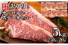 訳あり！博多和牛サーロインステーキセット　5kg（250g 2枚入り×10p） お取り寄せグルメ お取り寄せ 福岡 お土産 九州 福岡土産 取り寄せ グルメ 福岡県
