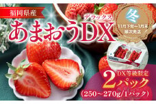 福岡産【冬】あまおうDX（デラックス）2パック いちご 苺 果物 フルーツ 九州産 福岡県産 冷蔵 送料無料 【11月下旬発送開始予定】 イチゴ フルーツ 果物 くだもの ブランド 国産 甘味 果汁