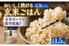 おいしく炊ける玄米ごはん元気つくし1.5kg 元気つくし 森光商店 老舗 福岡 お米 米 ごはん ご飯 お弁当 おにぎり 福岡ブランド米 めし丸 志免 志免町 福岡県