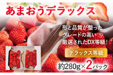 【2026年発送先行予約】あまおうデラックス（約280g x2パック） お取り寄せグルメ お取り寄せ 福岡 お土産 九州 福岡土産 取り寄せ グルメ 福岡県