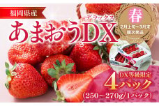 福岡産【春】あまおうDX（デラックス）4パック いちご 苺 果物 フルーツ 九州産 福岡県産 冷蔵 送料無料 【2月上旬発送開始予定】 イチゴ フルーツ 果物 くだもの ブランド 国産 甘味 果汁