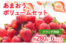 【2026年発送先行予約】あまおうボリュームセット(約280g x G6パック) お取り寄せグルメ お取り寄せ 福岡 お土産 九州 福岡土産 取り寄せ グルメ 福岡県