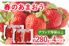 【2026年先行予約】春のあまおう(G規格以上約280g x 4パック) お取り寄せグルメ お取り寄せ 福岡 お土産 九州 福岡土産 取り寄せ グルメ 福岡県
