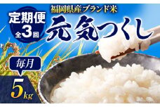 【3ヶ月 定期便】 元気つくし 合計15kg 5kg×3回 白米 お米 ご飯 米 精米 送料無料 お取り寄せグルメ お取り寄せ 福岡 お土産 九州 福岡土産 取り寄せ グルメ 福岡県