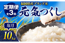 【3ヶ月 定期便】元気つくし 合計30kg 5kg×2袋(計10kg) ×3回 白米 お米 ご飯 米 精米 送料無料 お取り寄せグルメ お取り寄せ 福岡 お土産 九州 福岡土産 取り寄せ グルメ 福岡県