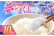 令和6年度産 福岡県産 夢つくし 10kg 1袋 白米 お米 ご飯 米 精米 送料無料 お取り寄せグルメ お取り寄せ 福岡 お土産 九州 福岡土産 取り寄せ グルメ 福岡県
