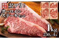 博多和牛サーロインステーキセット　1kg（250g×4枚） お取り寄せグルメ お取り寄せ 福岡 お土産 九州 福岡土産 取り寄せ グルメ 福岡県
