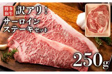 【厳選部位】博多和牛サーロインステーキ　250g（250g×1枚） お取り寄せグルメ お取り寄せ 福岡 お土産 九州 福岡土産 取り寄せ グルメ 福岡県