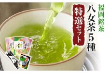 福岡銘茶八女茶 特選セット5種 合計550g お取り寄せグルメ お取り寄せ 福岡 お土産 九州 福岡土産 取り寄せ グルメ 福岡県