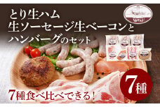 とり生ハム 生ソーセージ 生ベーコン ハンバーグのセット（Fセット） 生ハム 生ウィンナー ベーコン ハンバーグ 手作り うえすたん セット 詰め合わせ 福岡県 志免町