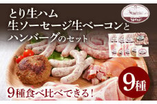 とり生ハム 生ソーセージ 生ベーコン ハンバーグのセット （Hセット） 生ハム 生ウィンナー ベーコン ハンバーグ 手作り うえすたん セット 詰め合わせ 福岡県 志免町