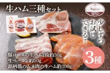 生ハム三種セット 生ハム うえすたん セット 食べ比べ 詰め合わせ 福岡県 志免町