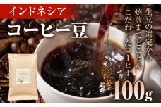 コーヒー豆 インドネシア マンデリン トバコ 100g お試し 自家焙煎 ドリンク 飲料