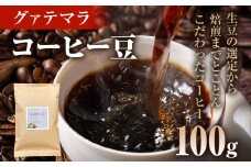 コーヒー豆 グァテマラ アンティグア レタナ農園 イエローブルボン 100g お試し 自家焙煎 ドリンク 飲料