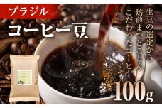 コーヒー豆 ブラジル トミオフクダ DOT ムンドノーボ 100g お試し 自家焙煎 ドリンク 飲料