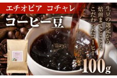 コーヒー豆 エチオピア イルガチェフ コチャレ ナチュラル 100g お試し 自家焙煎 ドリンク 飲料