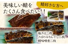 美味しい鯖をたくさん食べたい 鯖 さば サバ 惣菜 塩サバ みりん干し 鯖味噌 3種セット 塩さば二枚 さばのみりん干し二枚 鯖味噌煮二枚 食べ比べ おかず 魚 お酒のアテ おつまみ 朝食 お弁当